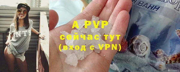 ГАЛЛЮЦИНОГЕННЫЕ ГРИБЫ Наволоки