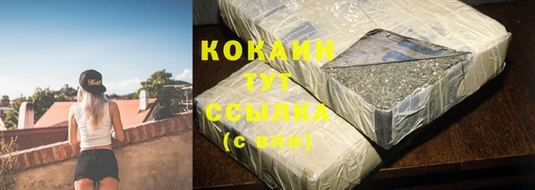 шишки Надым