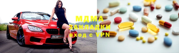 шишки Надым