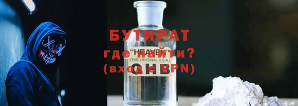 шишки Надым