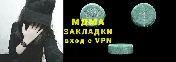 шишки Надым