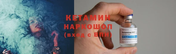 шишки Надым
