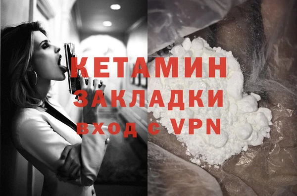 шишки Надым