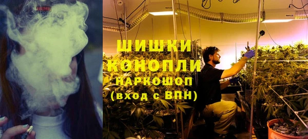 шишки Надым
