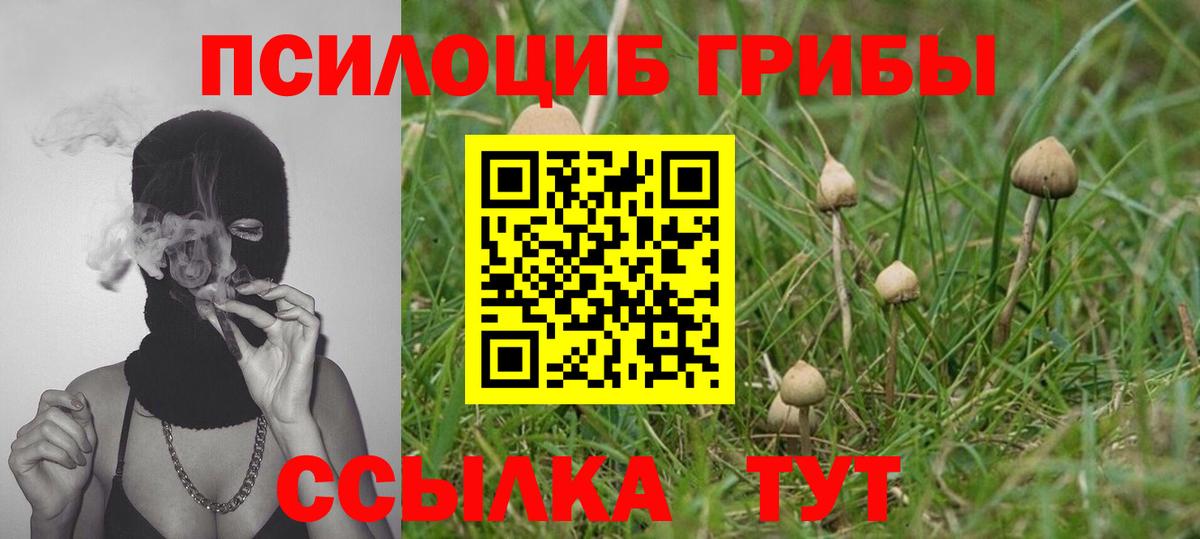 Псилоцибиновые грибы Psilocybe  Вход с VPN  Галлюциногенные грибы Magic Shrooms  Белая Калитва 